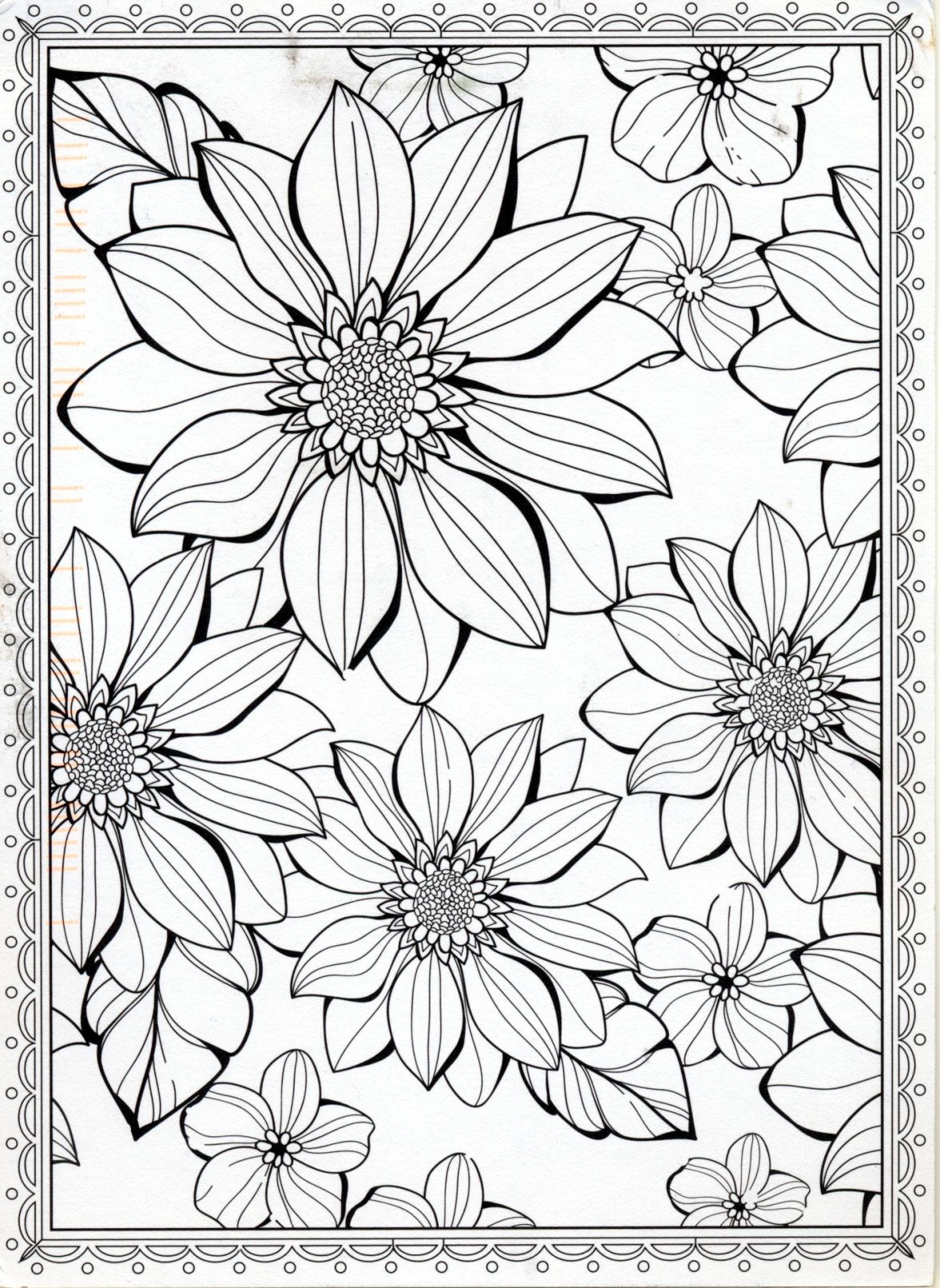 Adult Coloring Pages Of Flowers