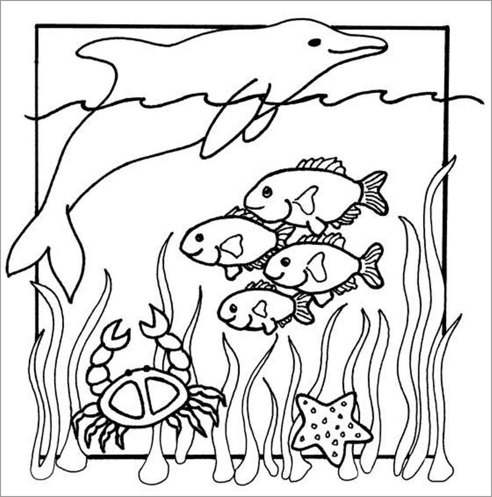 Coloring Page Of Ocean Animals