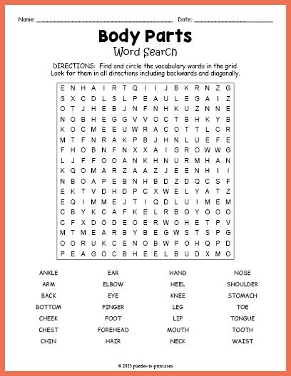 Free Printable Body Parts Word Search Human Body Parts Word Puzzles 