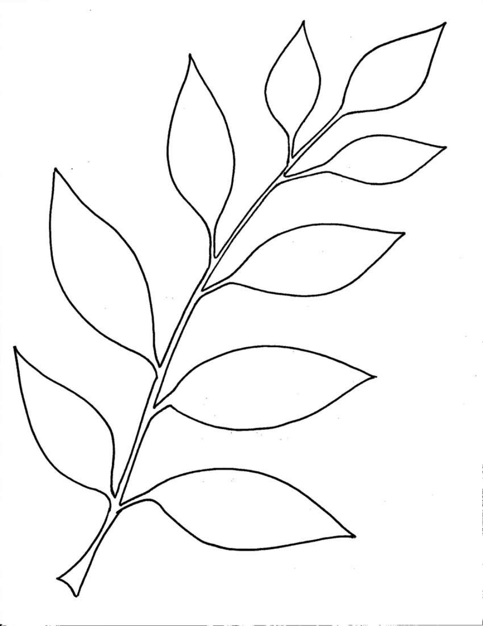 Leaf Templates Free Printable Templates Coloring Page Vrogue co