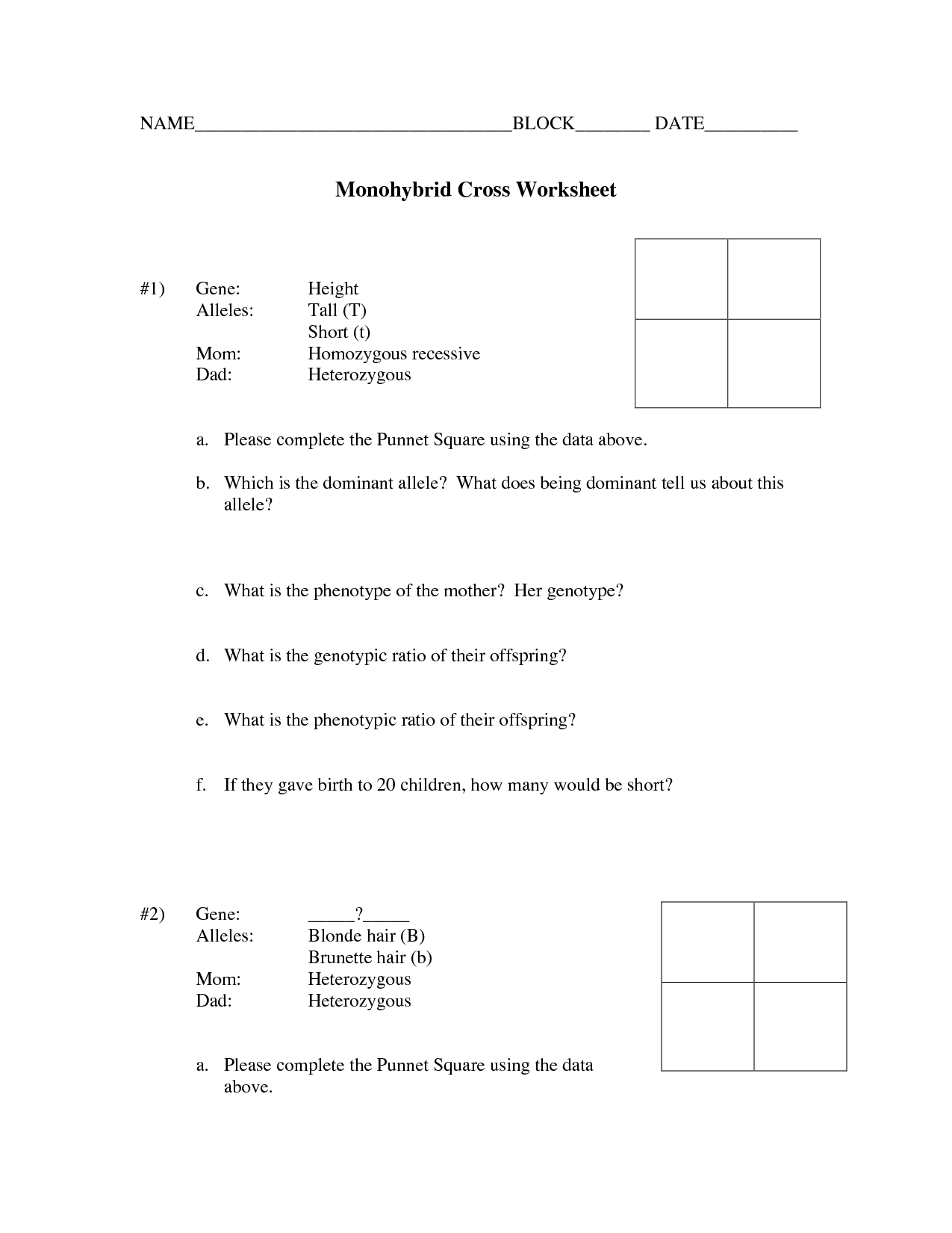 14 Monohybrid Cross Worksheet Answer Key Worksheeto