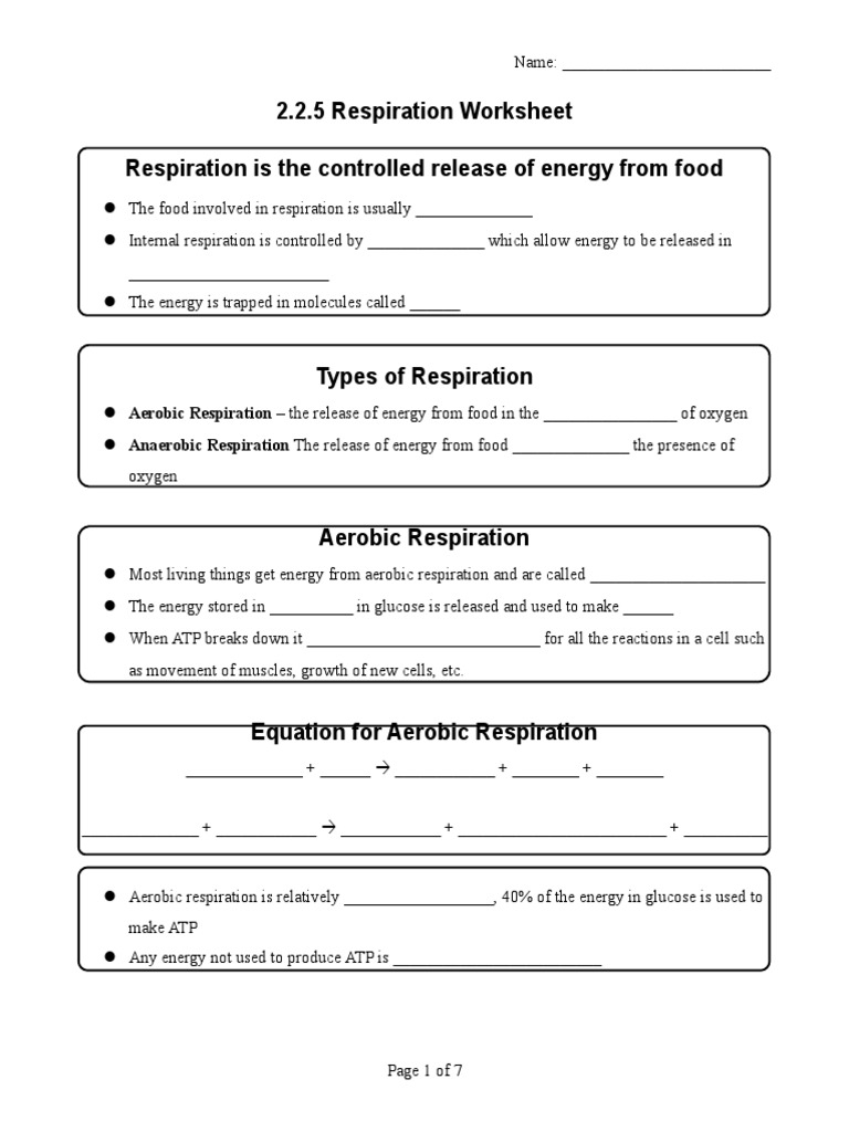 cellular respiration worksheet
