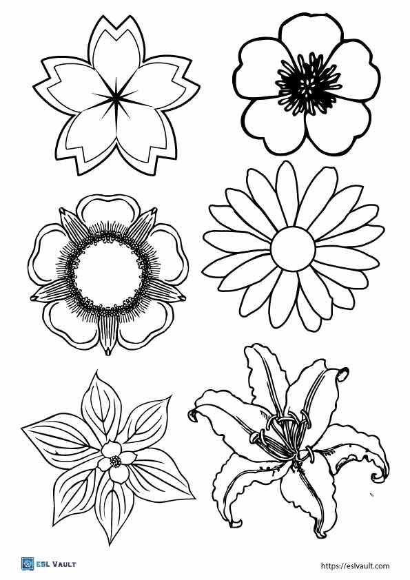 printable pictures of flowers
