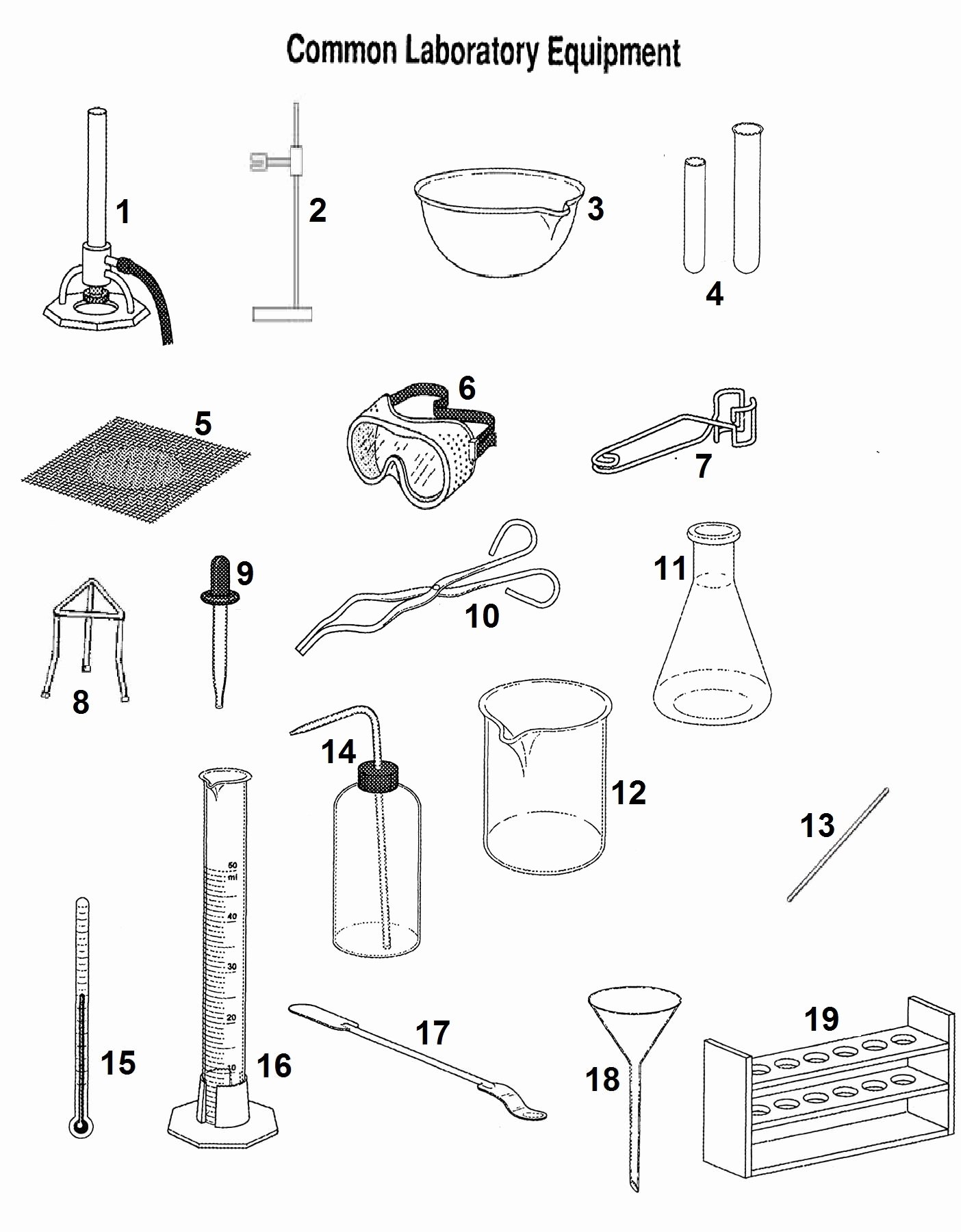 lab equipment worksheet