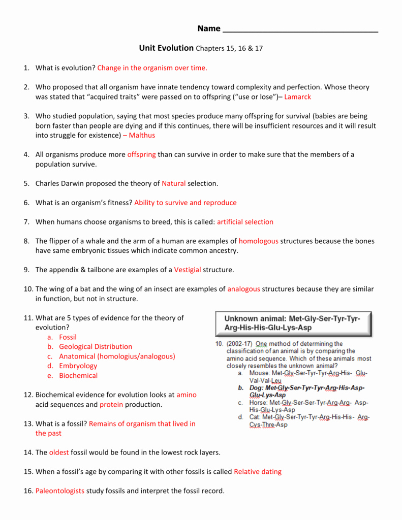 evidence of evolution worksheet answers