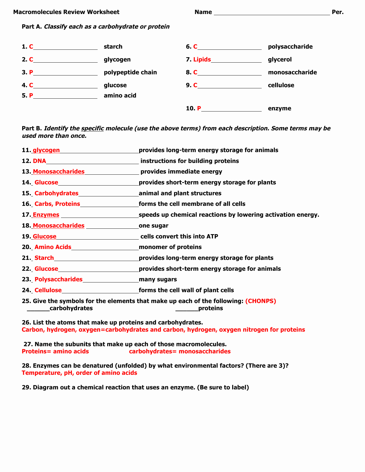 50 Macromolecules Worksheet 2 Answers Chessmuseum Template Library