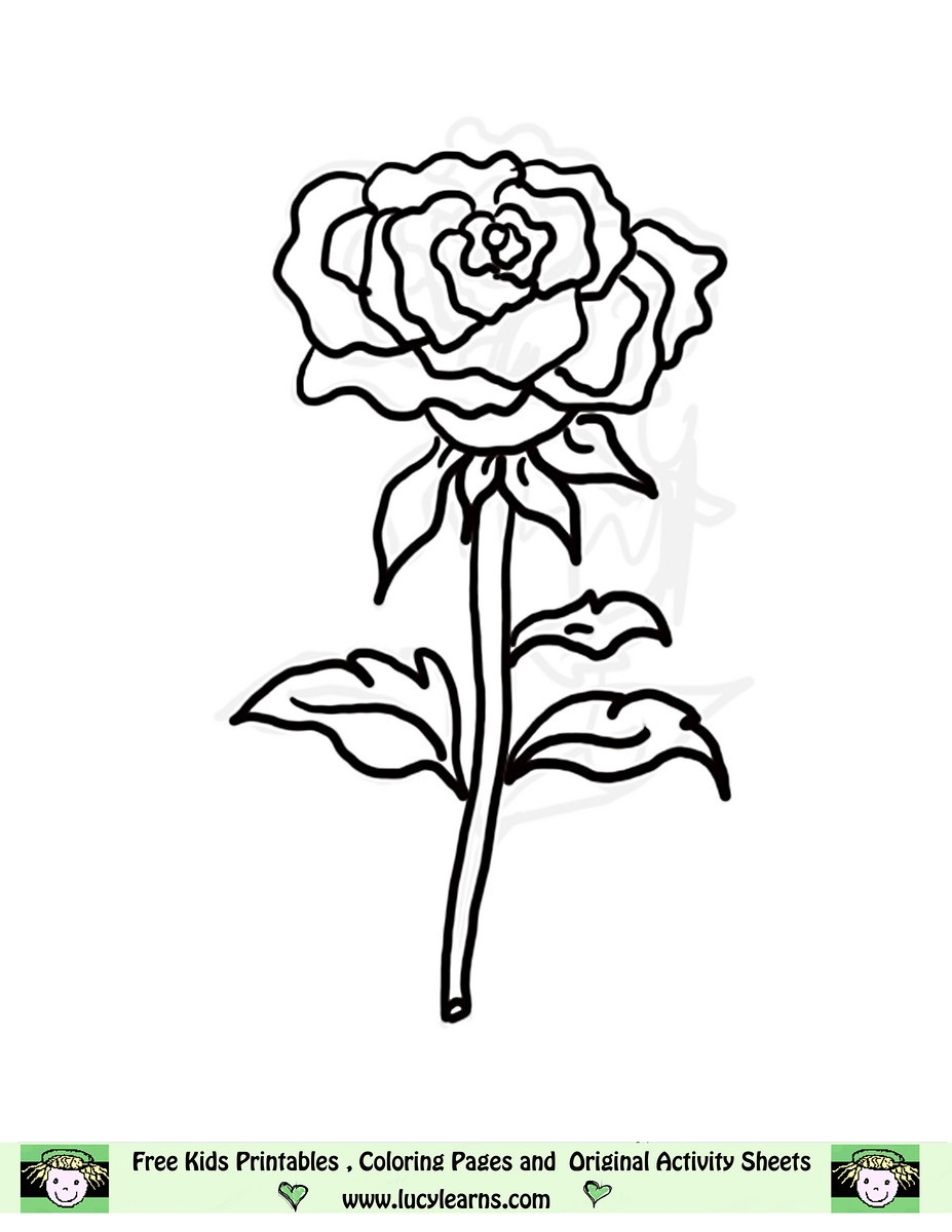 printable rose picture