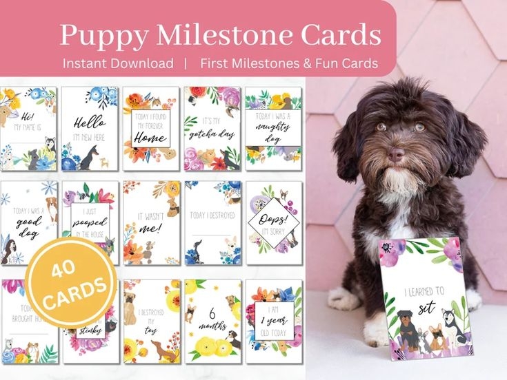 A Puppy Sitting Next To A Box Filled With Greeting Cards And The Words