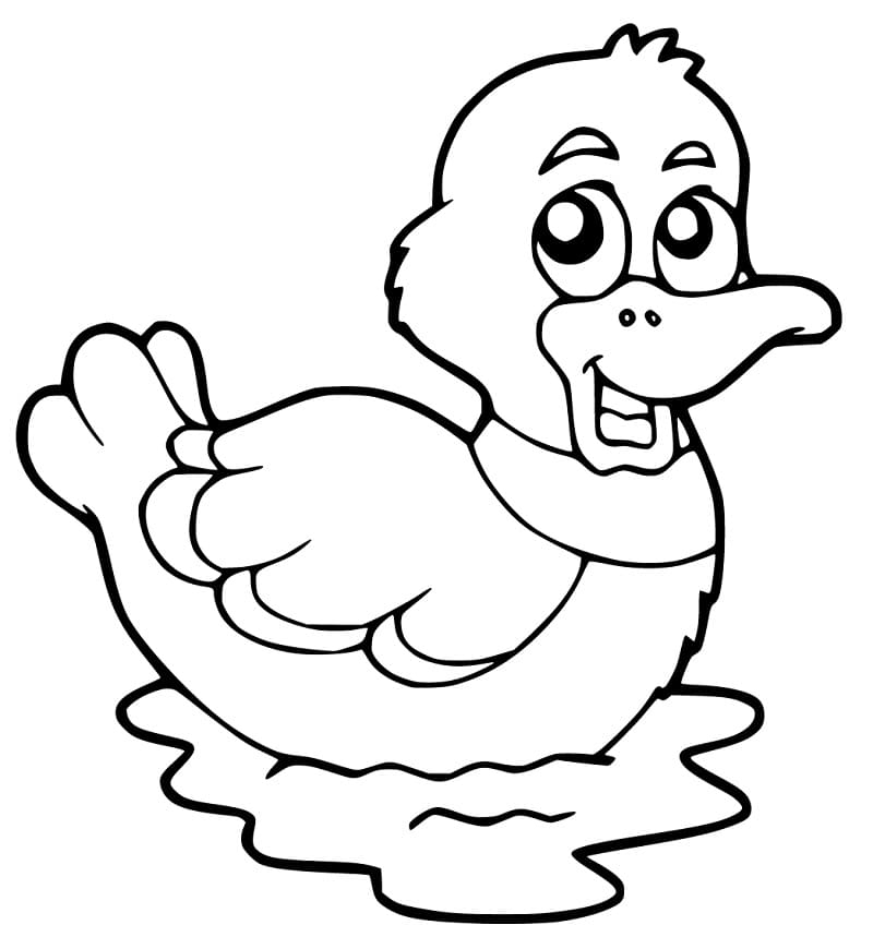 Adorable Duckling Coloring Page Free Printable Coloring Pages For Kids