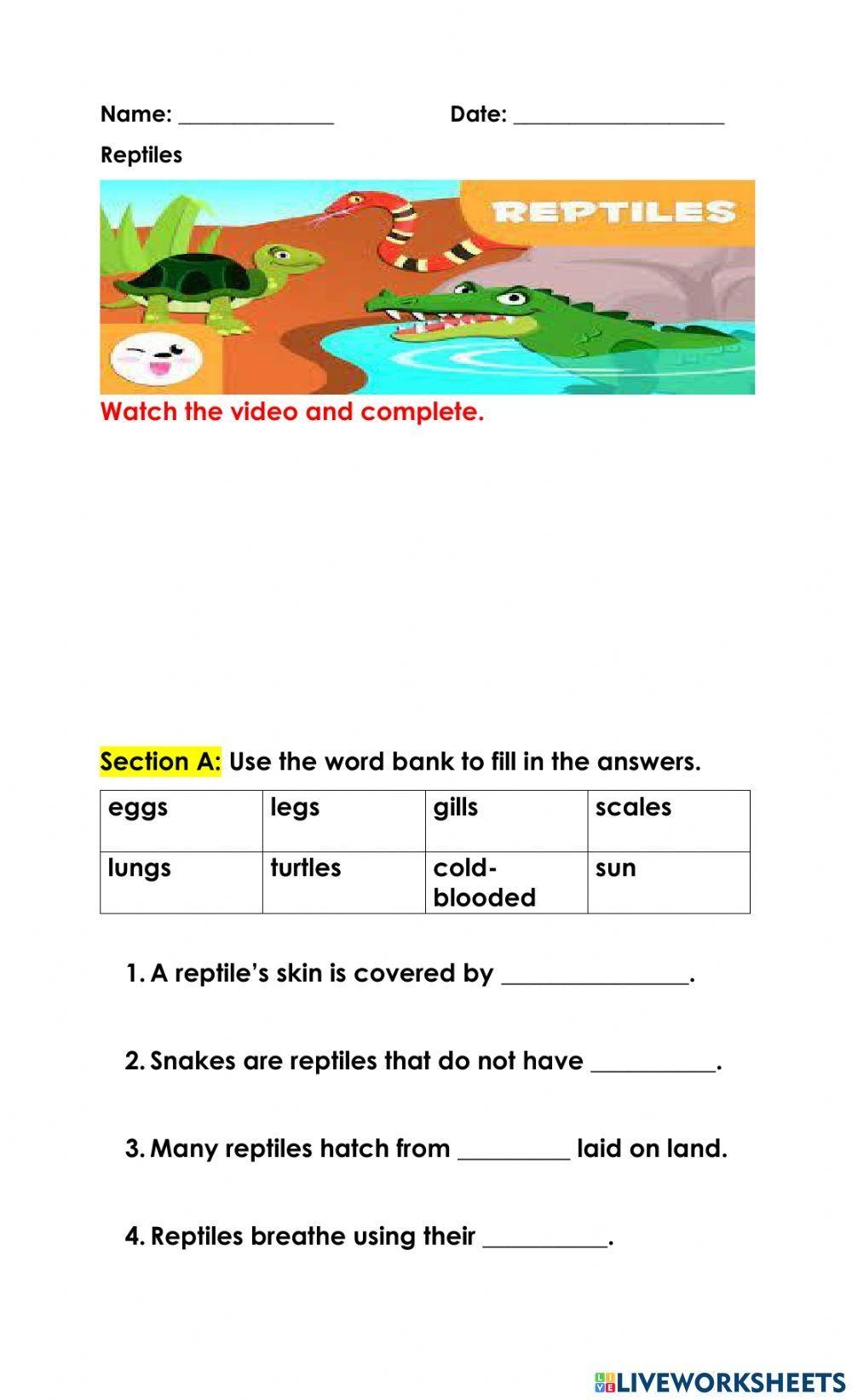 Amphibians Vs Reptiles Worksheet Free Printable PDF For Kids 
