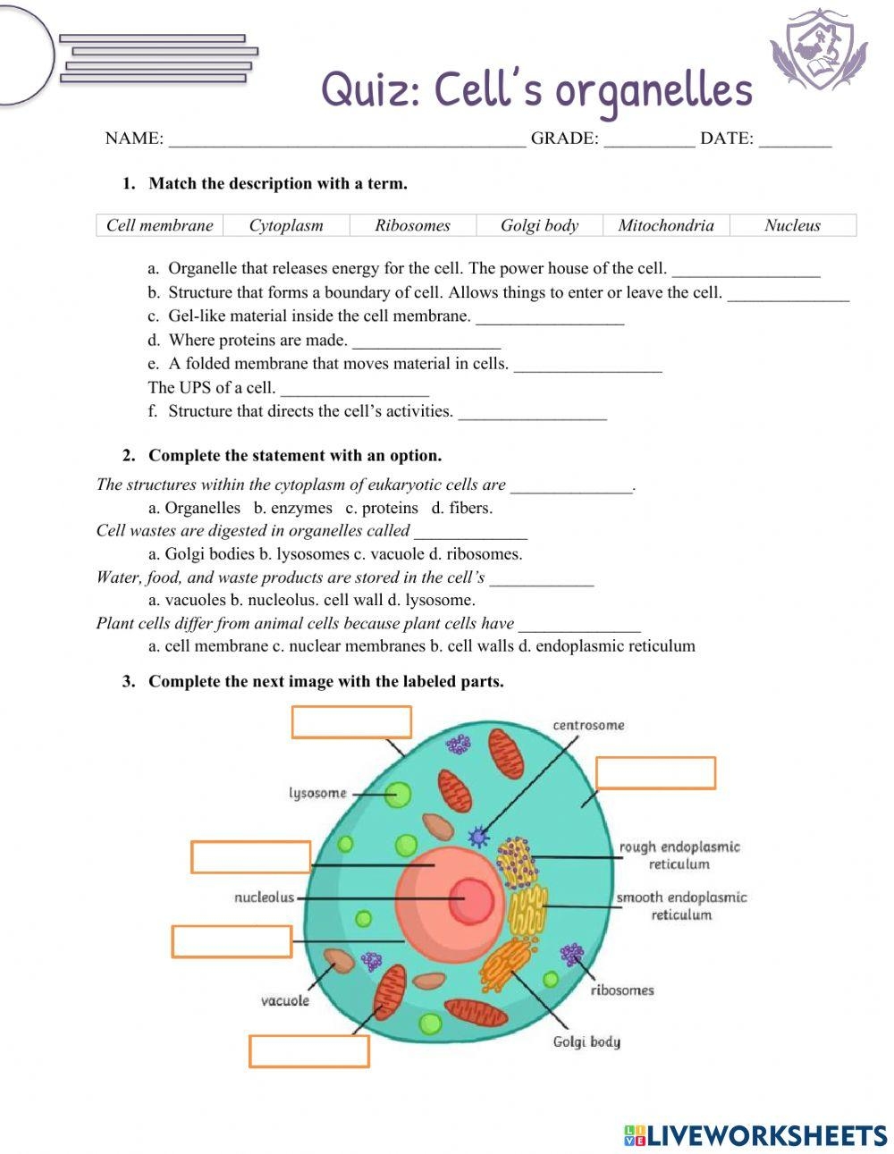 Animal Cells Worksheets Worksheets Library