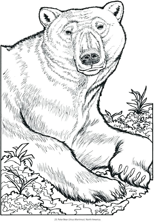 Printable Animal Coloring Pages