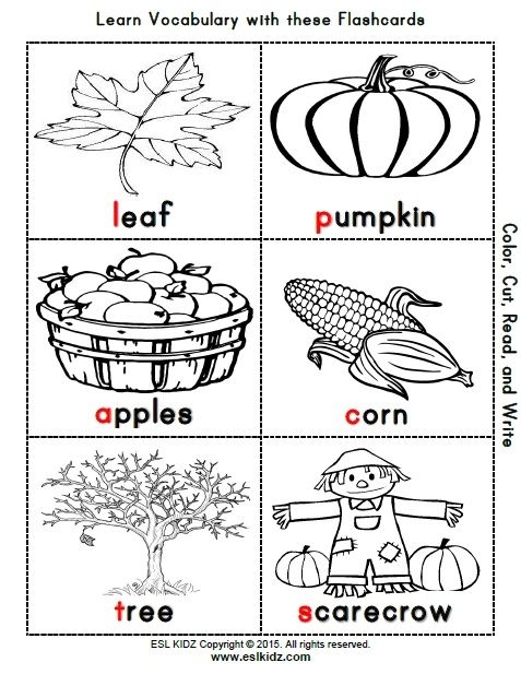 Autumn Worksheets For Kids