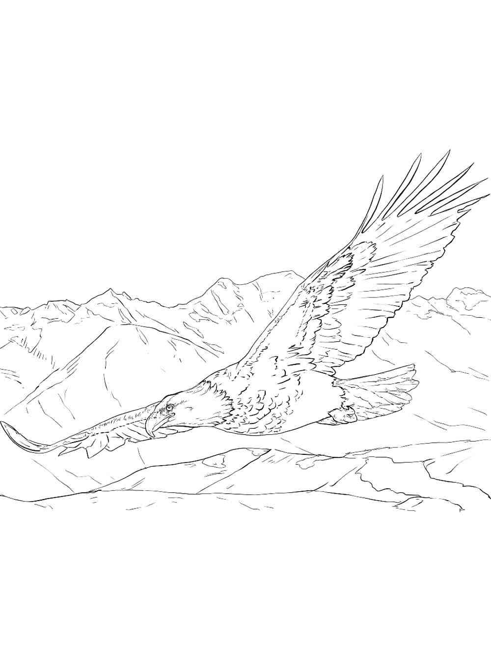 Bald Eagle In Flight Coloring Page