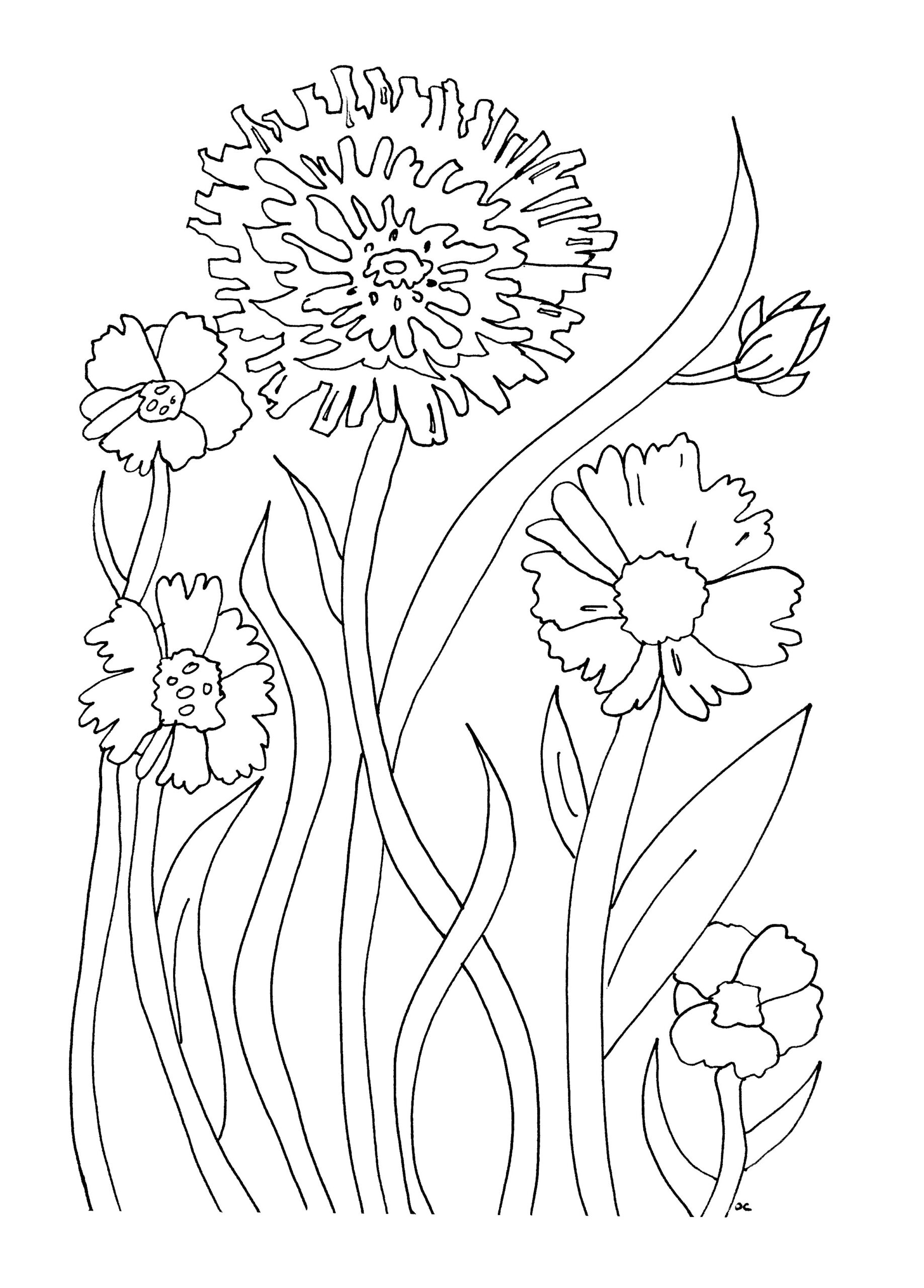 Color Pages Flowers