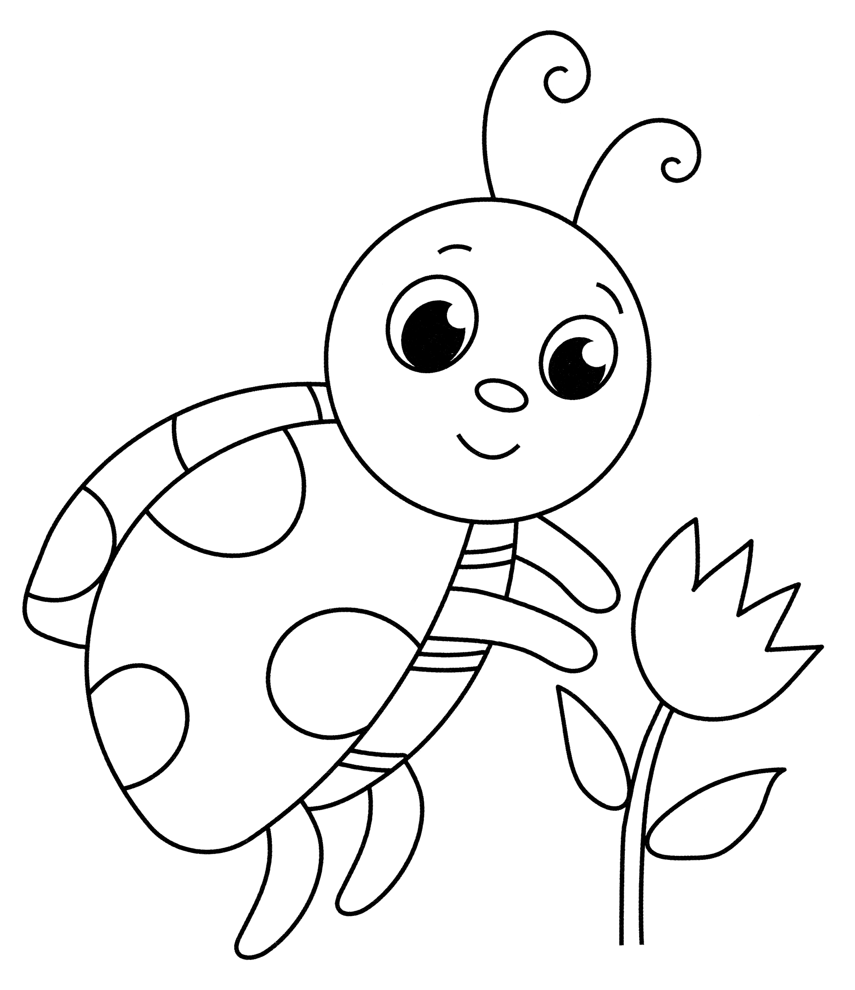 Beautiful Ladybird Coloring Page Free And Printable
