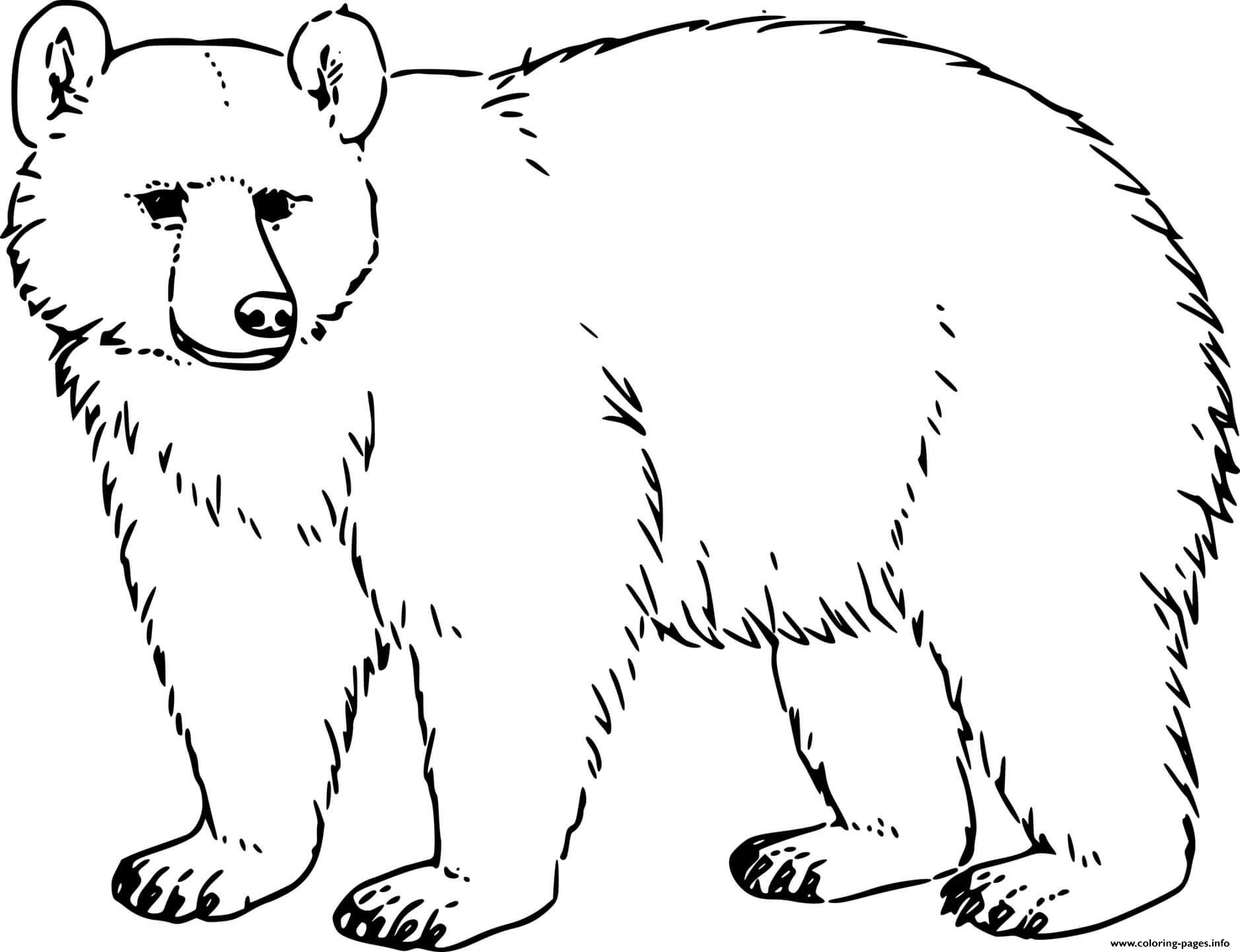 Black Bear Coloring Book Pages Coloring Pages