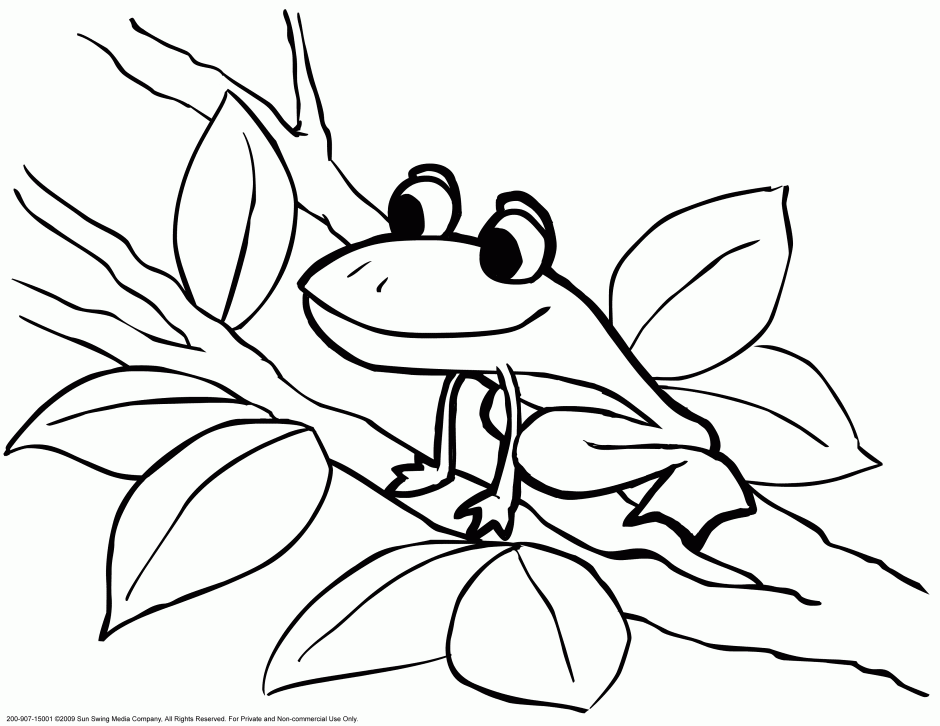 Blank Color Pages Coloring Home