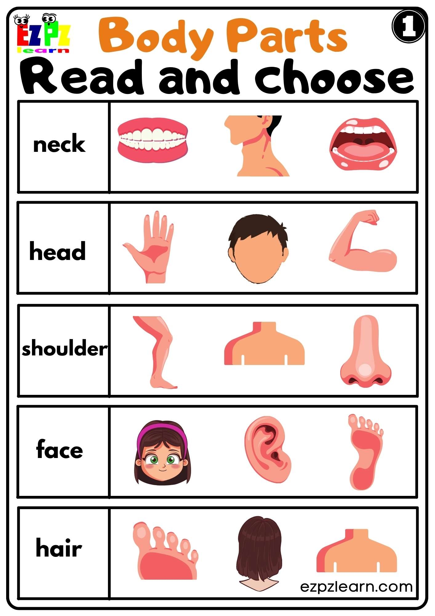 body parts worksheet