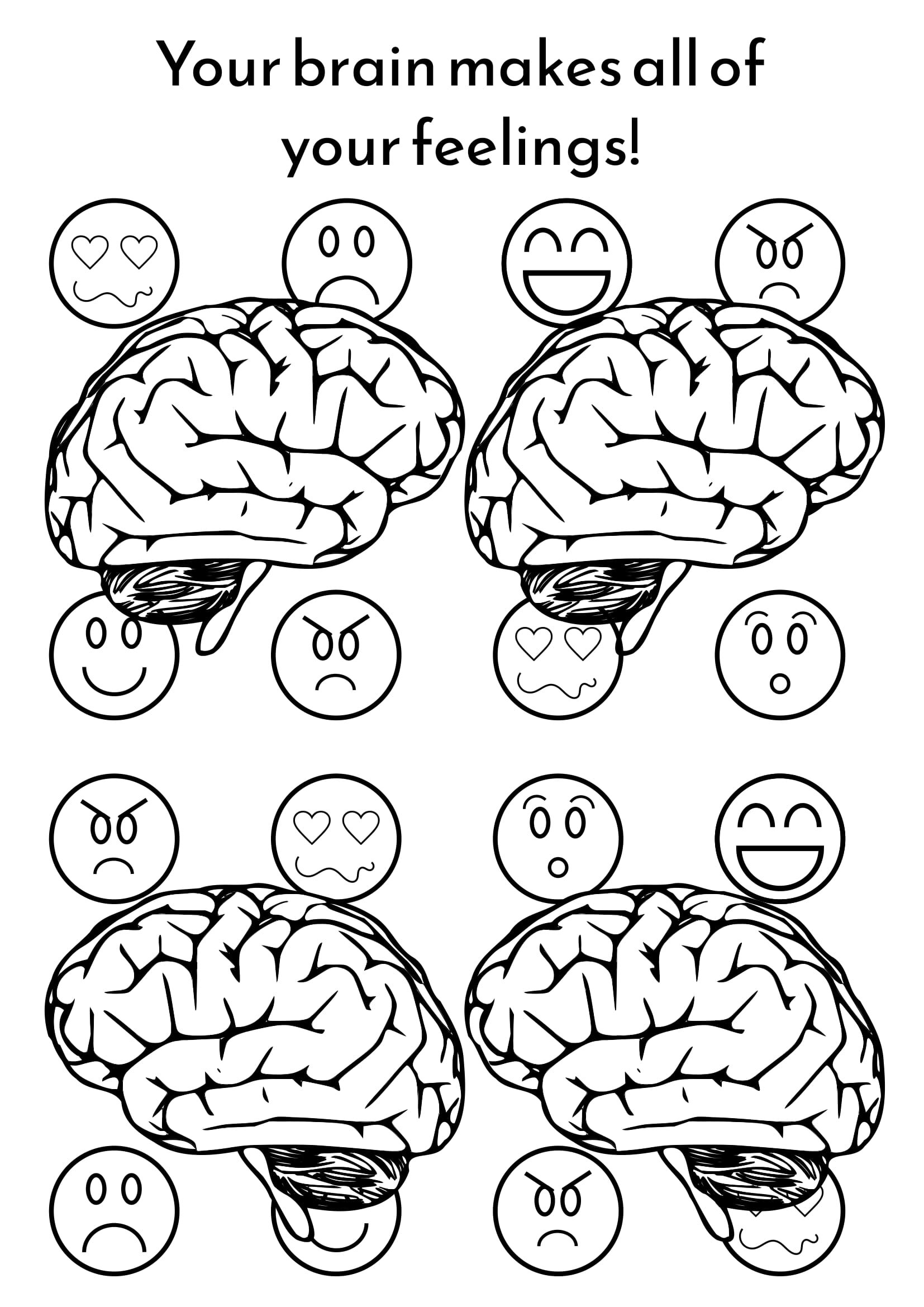 Brain Anatomy Coloring Worksheets Library