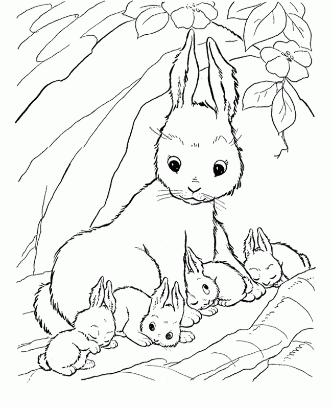 free bunny rabbit coloring pages