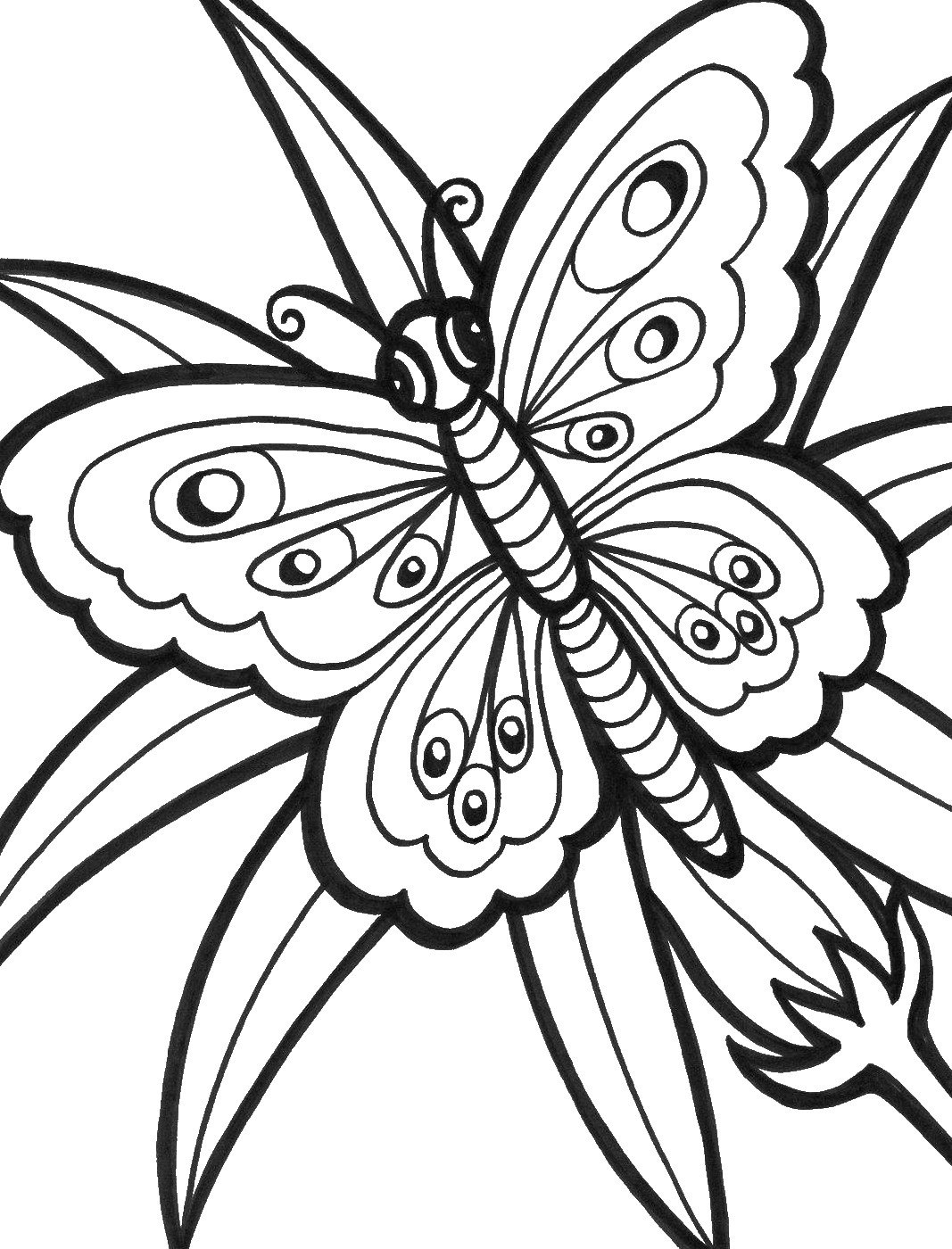 free butterfly color pages