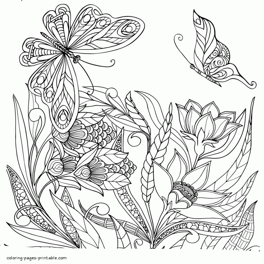 Butterfly Coloring Pictures For Adults COLORING PAGES PRINTABLE COM
