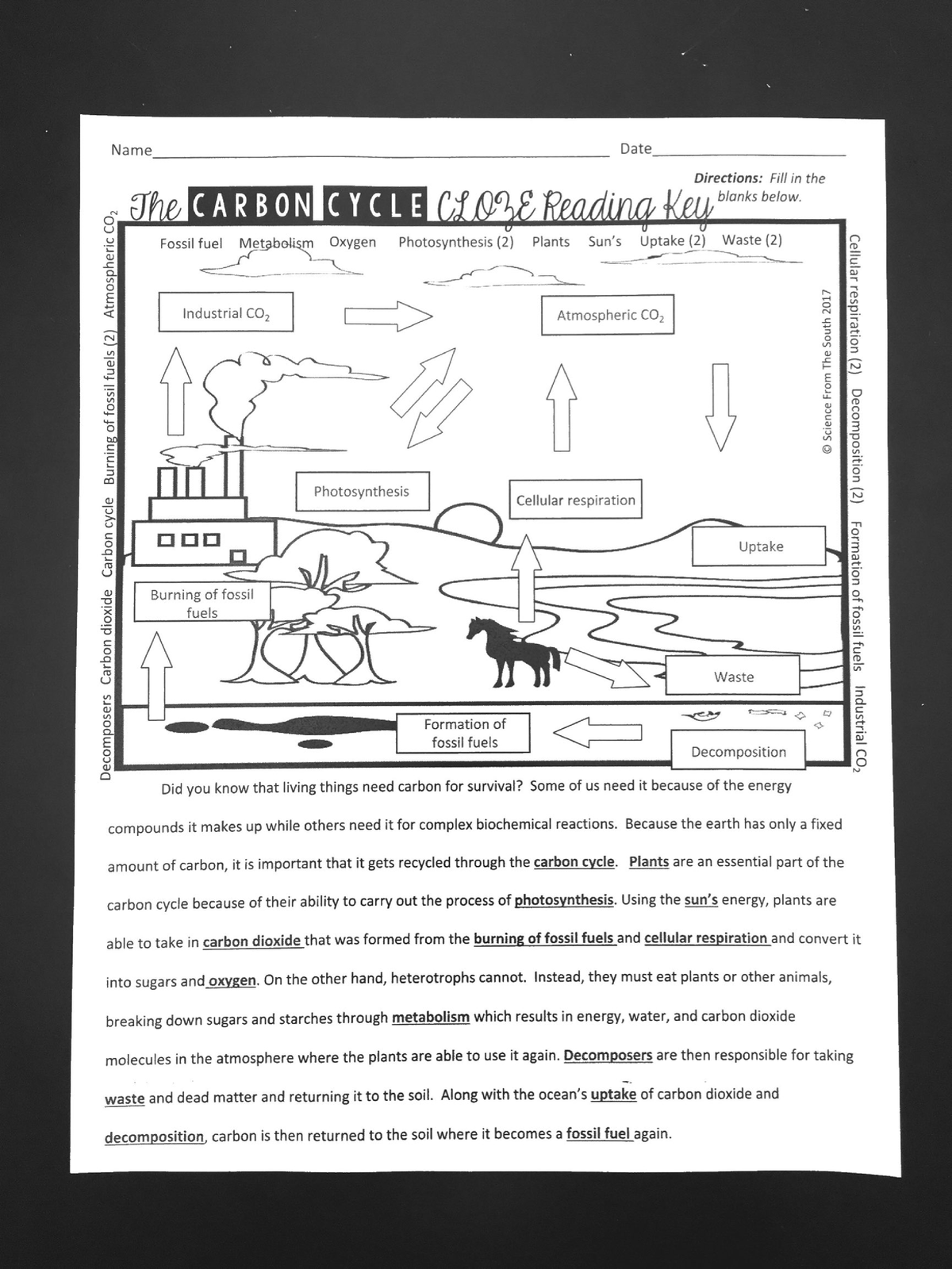Carbon Cycle Worksheet Answer Key 1 Studocu Worksheets Library
