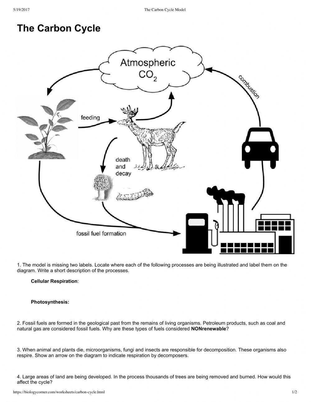 Carbon Cycle Worksheet Live Worksheets Worksheets Library