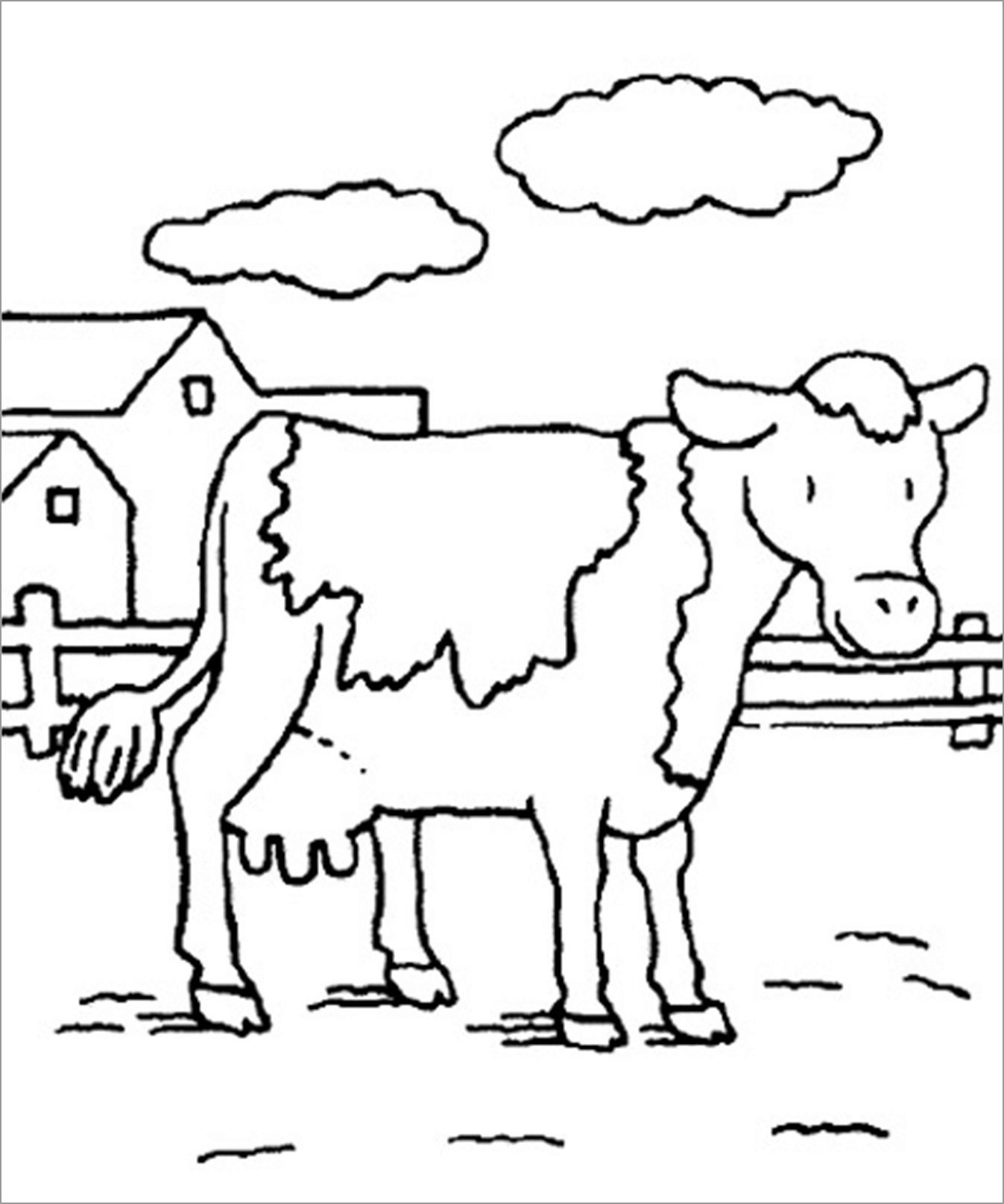 Cattle Coloring Pages ColoringBay