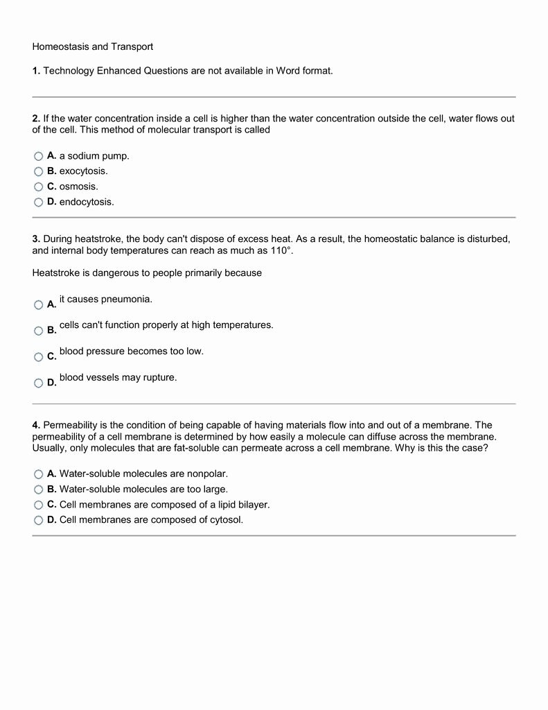 cell a1 from alpha worksheet