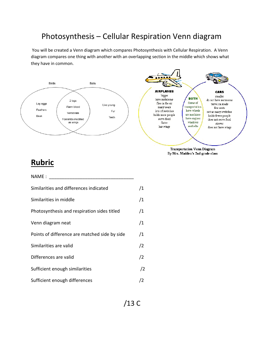 Cellular Respiration And Photosynthesis Venn Diagram Worksheet 