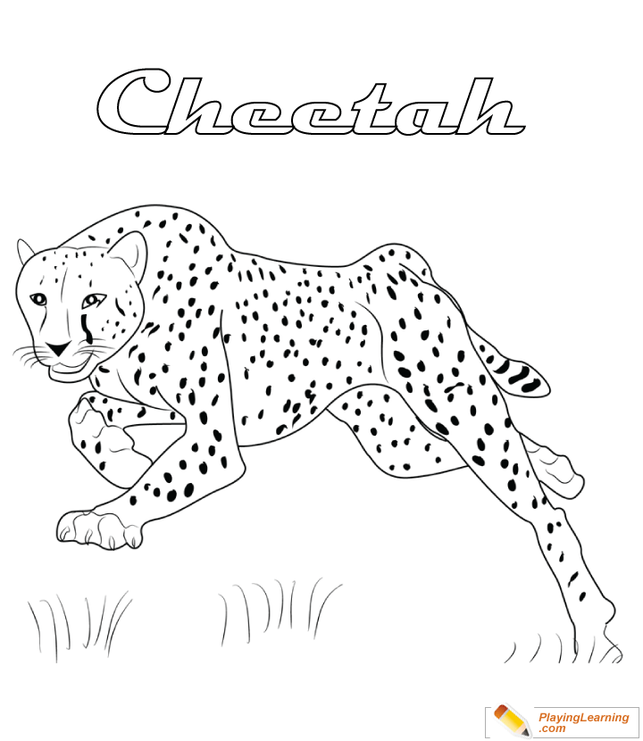 Cheetah Coloring Page 10 Free Cheetah Coloring Page