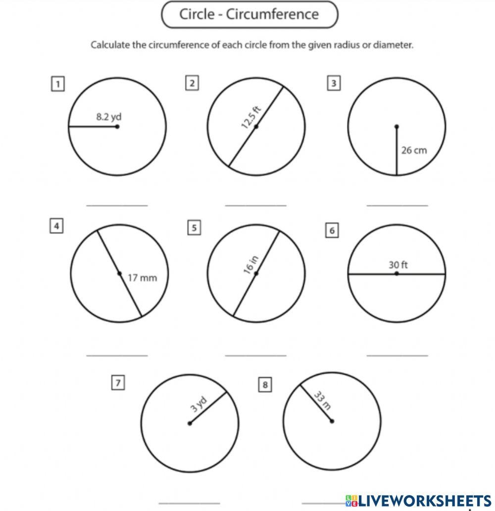 circumference of a circle worksheet