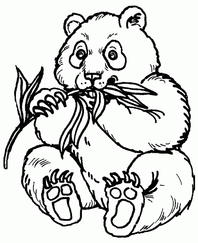 Coloring Page Of A Panda Bear