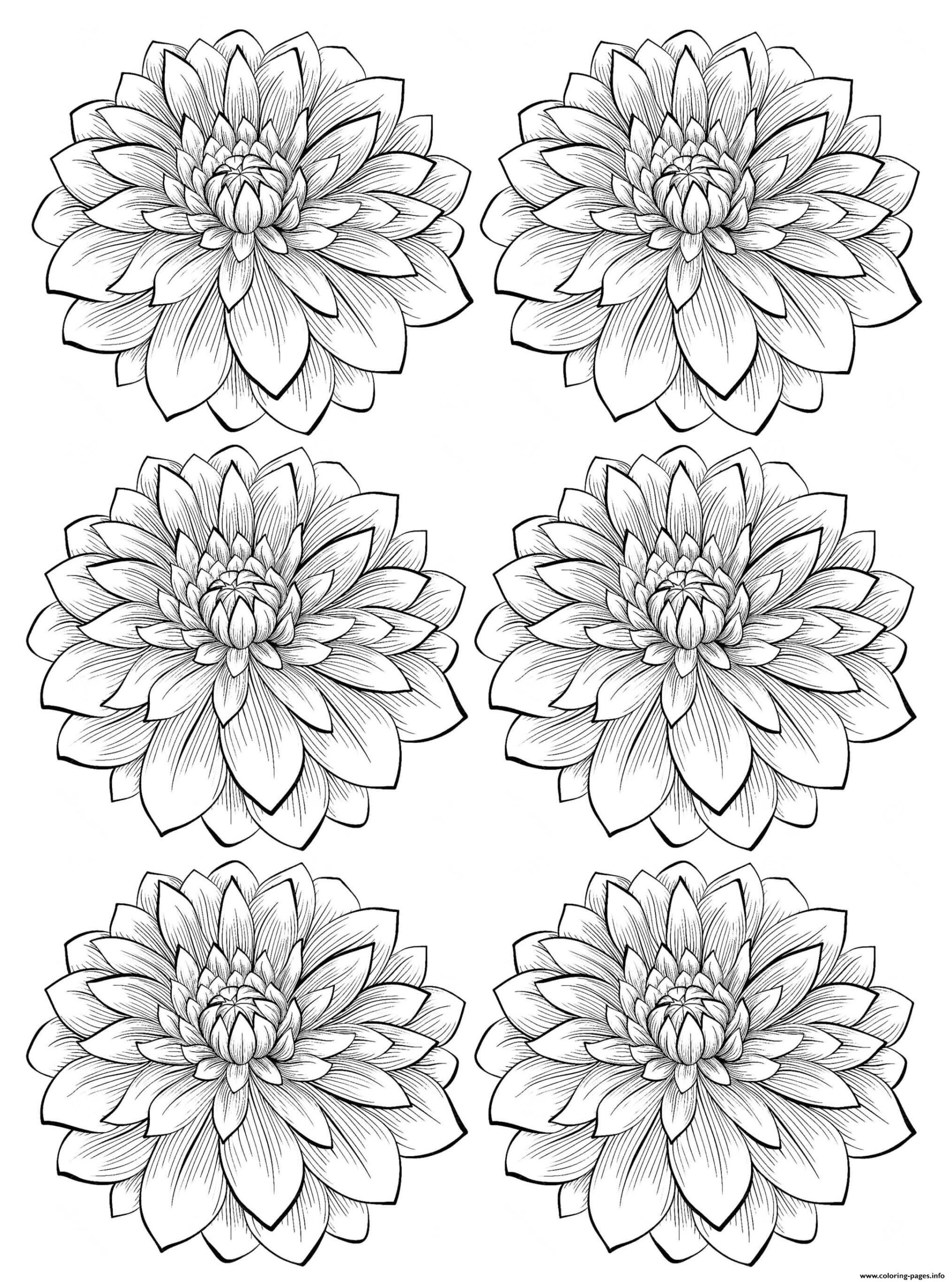 Collection Of Flower Adult Coloring Pages Free Printable