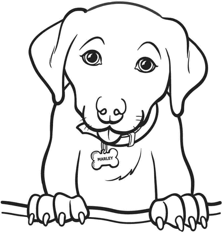 printable coloring pages for kids animals
