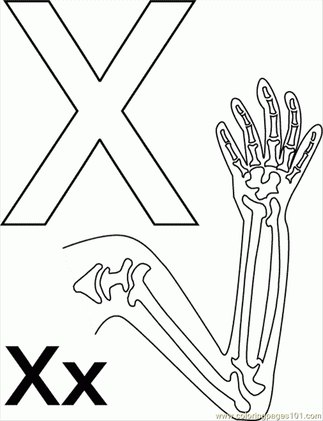 printable picture of xray