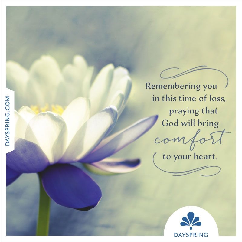 Condolence Cards Free Printable Inspirational Sympath Vrogue co