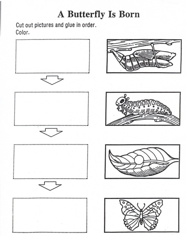 Crafts Actvities And Worksheets For Preschool Toddler And Kindergarten