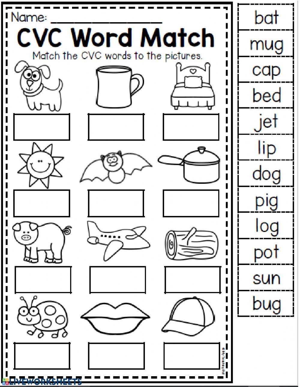 CVC Words Worksheet Digital Worksheets Library