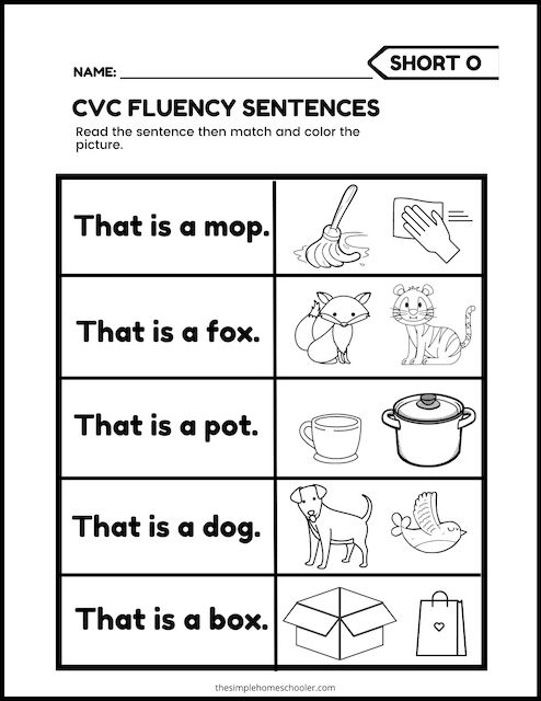 CVC Writing Word Worksheet Worksheet Pack A teacher Made