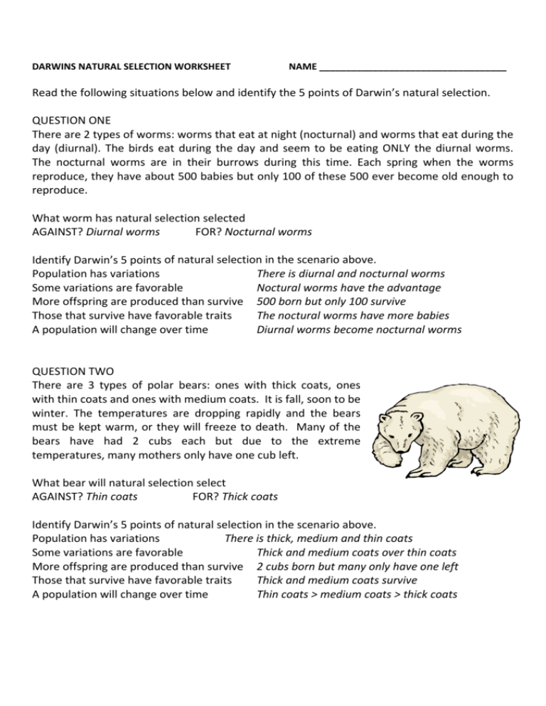 darwin's natural selection worksheet