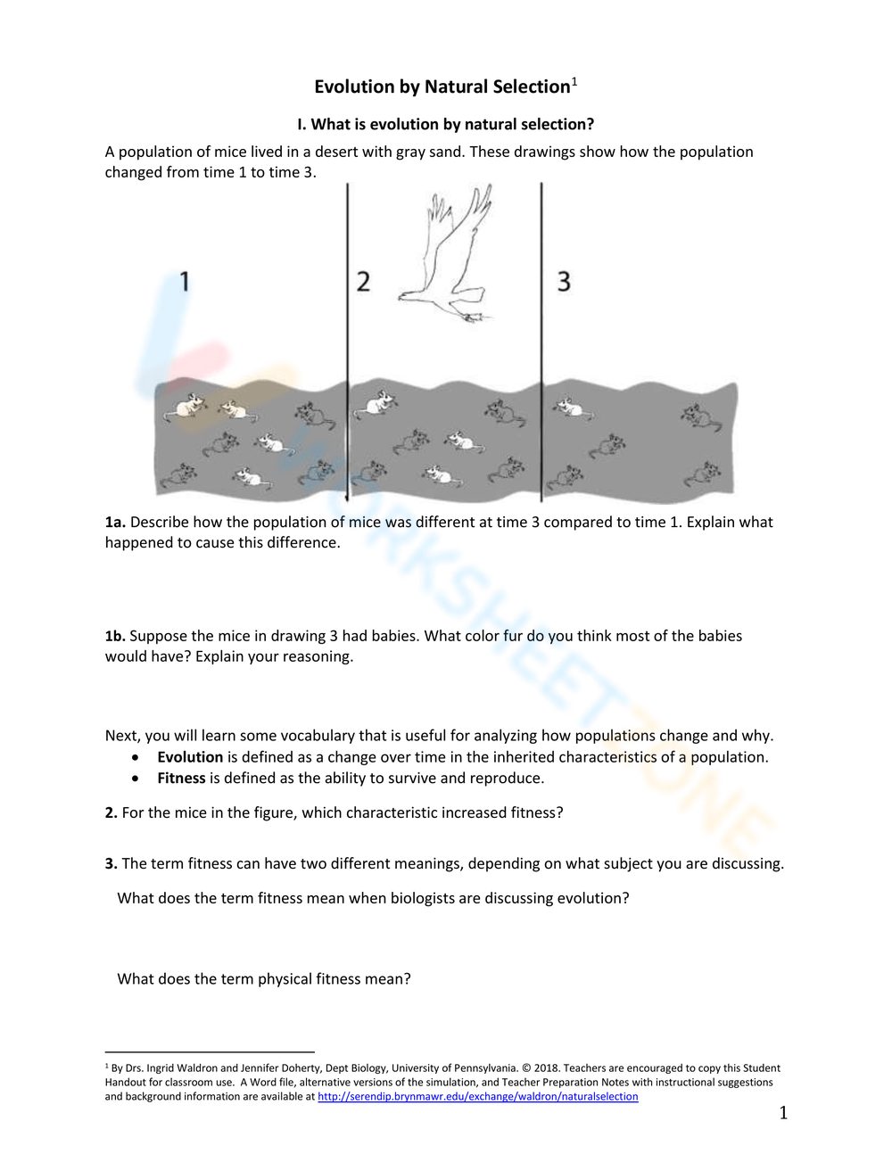 Darwin Natural Selection Evolution Reading Comprehension 59 OFF 