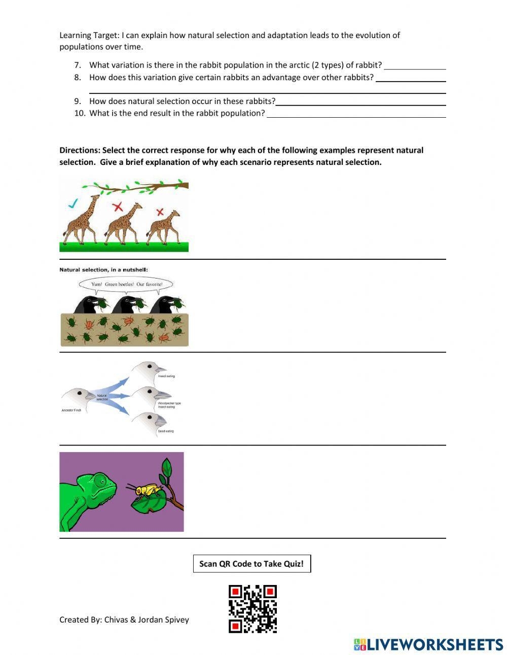 Darwin Natural Selection Evolution Reading Comprehension 59 OFF 
