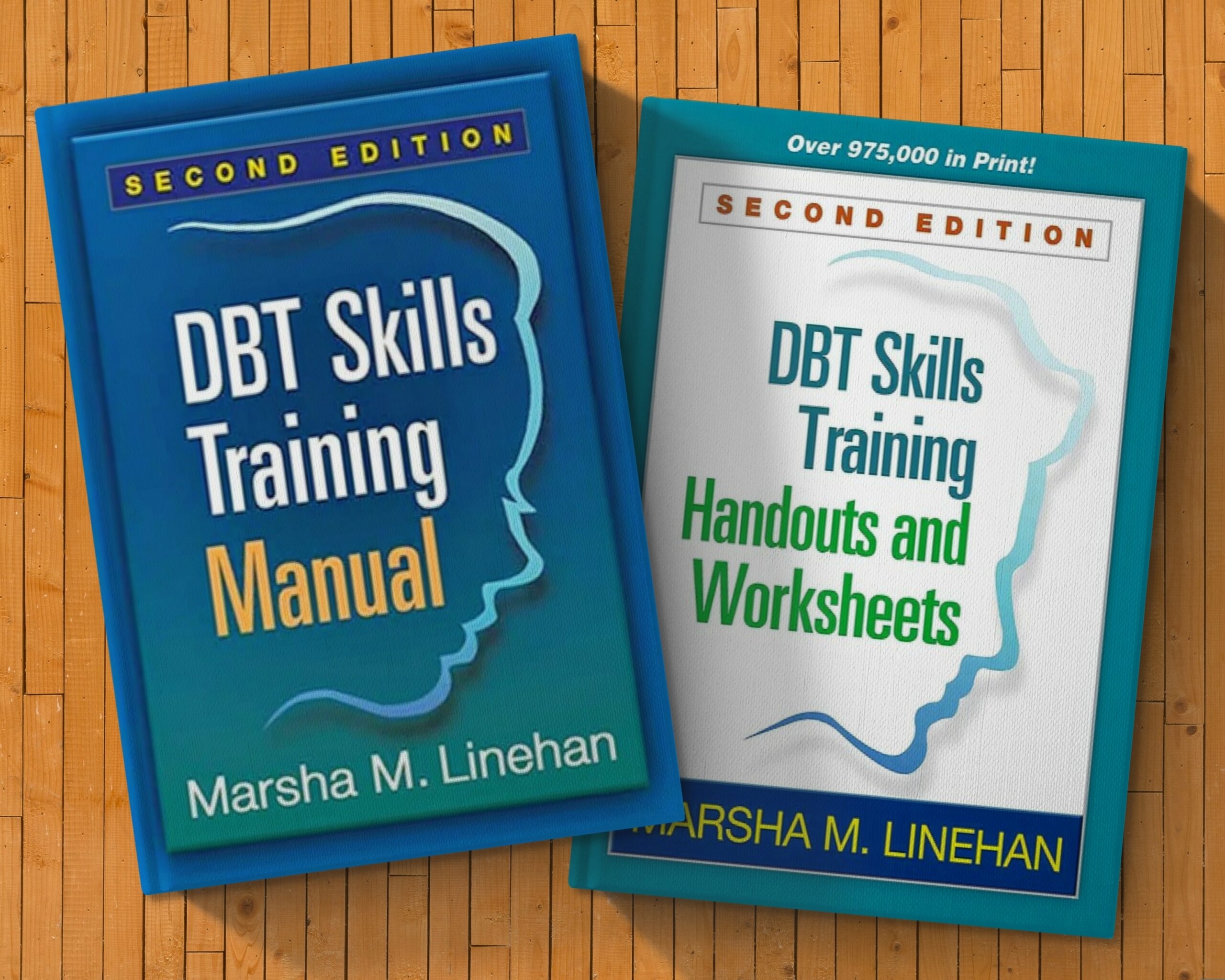 DBT Skills Training Manual DBT Skills Training Handouts An Inspire 