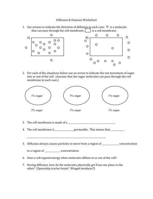 Diffusion Osmosis Worksheet Worksheets Library