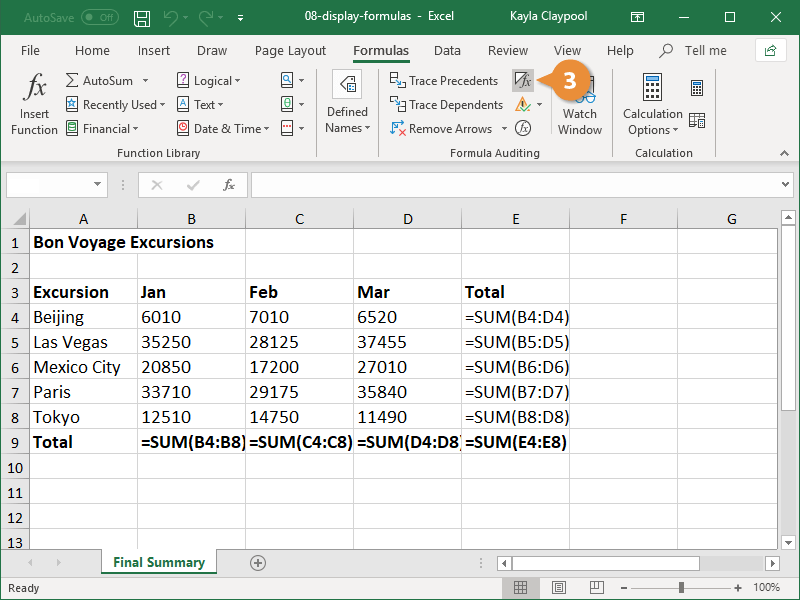 display the formulas in the worksheet