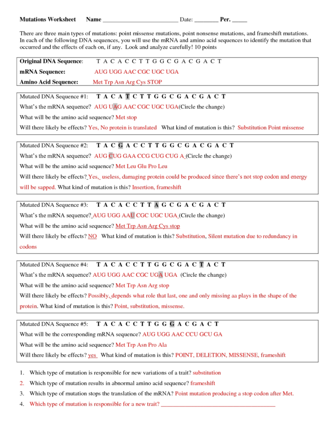 Dna Mutations Practice Worksheet Key 317082 Free Worksheets Samples