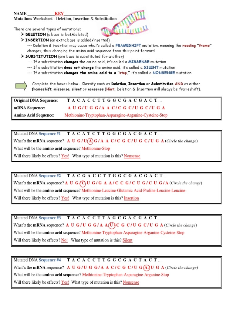 mutations worksheet